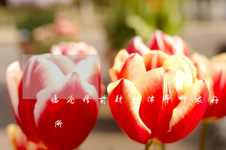 临沧婚前财产律师哪家好(云南临沧律师服务所)
