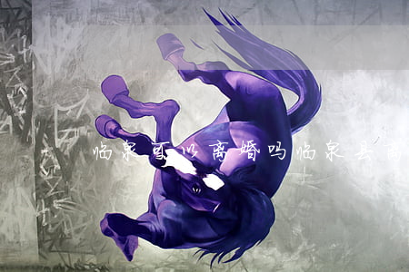 临泉可以离婚吗(临泉县离婚处在哪里)