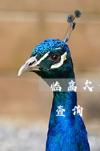 临高欠信用卡的名单(临高老赖网失信黑名单查询)