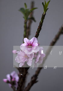 丹陽(yáng)統(tǒng)資聯(lián)(丹陽(yáng)統(tǒng)資聯(lián)張玉紅)