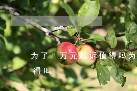 为了1万元起诉值得吗(为了1千块钱起诉值得吗)