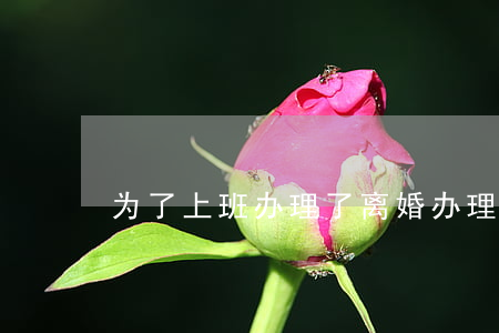 为了上班办理了离婚(办理离婚周末上班吗)