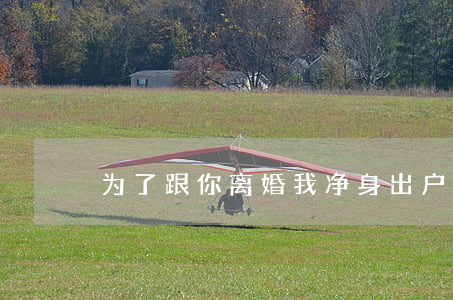 为了跟你离婚我净身出户