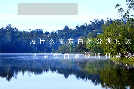 为什么京东白条分期付款没有服务费-为什么京东白条分期付款没有服务费了