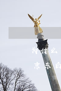 为什么京东白条提前还款不能还多-为什么京东白条提前还款不能还多了