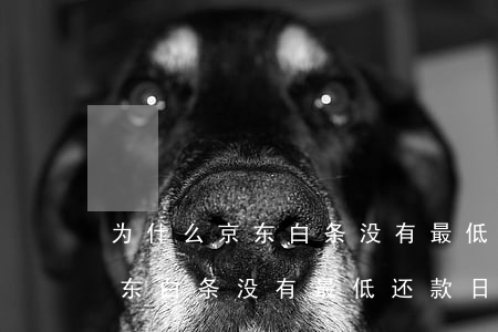 为什么京东白条没有最低还款日-为什么京东白条没有最低还款日了