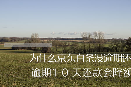 为什么京东白条没逾期还降额(京东金融白条逾期10天还款会降额度吗?)