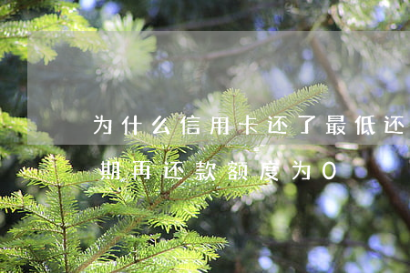 为什么信用卡还了最低还显示逾期（信用卡逾期再还款额度为0）