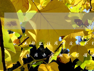 为什么信用卡逾期不打催收电话了-为什么信用卡逾期不打催收电话了