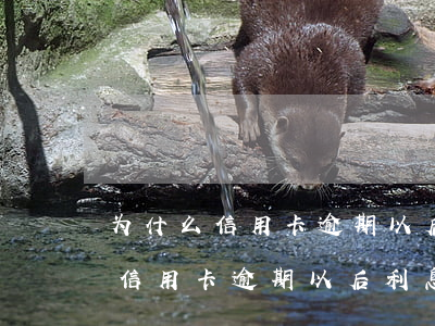 为什么信用卡逾期以后利息不涨了-为什么信用卡逾期以后利息不涨了呢
