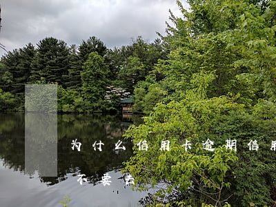 为什么信用卡逾期（信用卡逾期被起诉到底要不要去）
