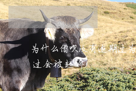 为什么借呗没有逾期过 为什么借呗没有逾期过会被起诉
