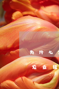 为什么农业信用卡逾期几个月都起诉了（中国农业银行惠农信用卡逾期）