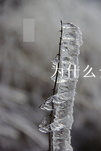为什么分期乐还款了额度还是零-