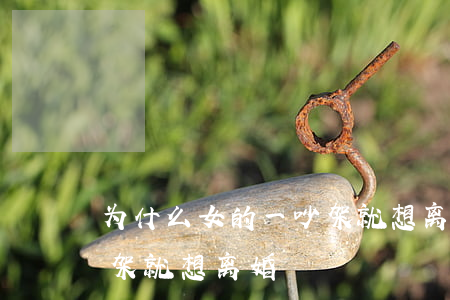 为什么女的一吵架就想离婚(为什么夫妻一吵架就想离婚)