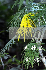 为什么我信用卡逾期三年没被起诉(3000的信用卡逾期几年了会被告吗)