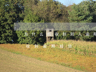 为什么我收到别人逾期的短信（新的公司同事收到逾期短信）