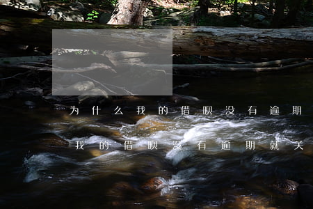 为什么我的借呗没有逾期就关闭了-为什么我的借呗没有逾期就关闭了呢