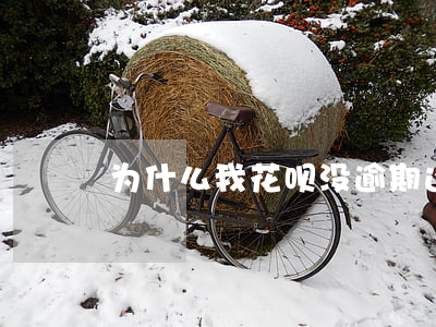 为什么我花呗没逾期还降额度了-