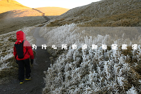 为什么所有逾期都是鹰潭的电话-
