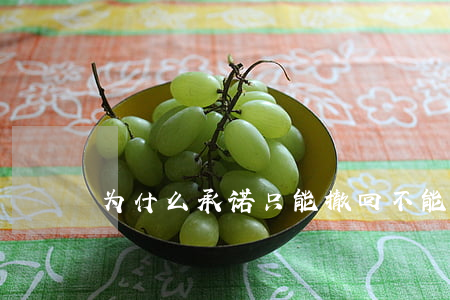 为什么承诺只能撤回不能撤销