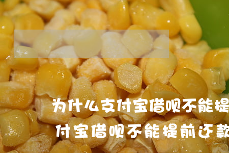 为什么支付宝借呗不能提前还款-为什么支付宝借呗不能提前还款呢