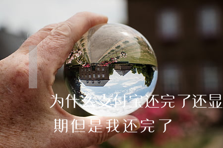 为什么支付宝还完了还显示有逾期（支付宝逾期但是我还完了）