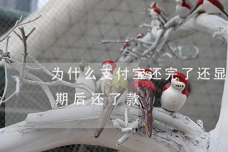 为什么支付宝还完了还显示有逾期（支付宝逾期后还了款）