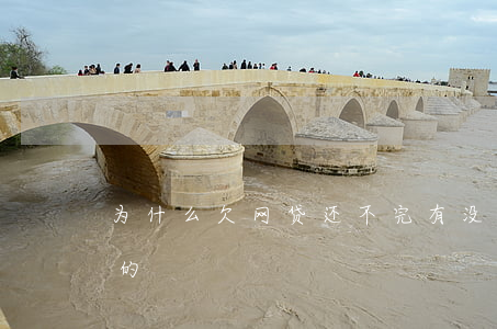 为什么欠网贷还不完(有没有欠网贷一直不还的)