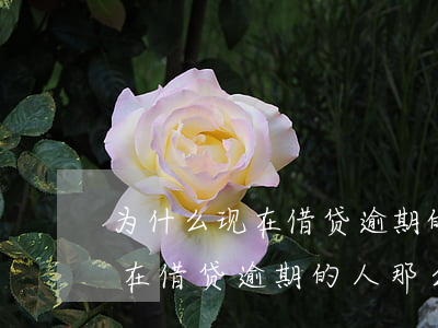 为什么现在借贷逾期的人那么多-为什么现在借贷逾期的人那么多呢