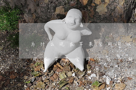 为什么现在苹果官网可以分期免息-为什么现在苹果官网可以分期免息了