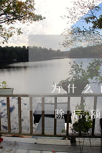 为什么白条被锁定没有逾期 白条逾期锁定解除后额度是多少