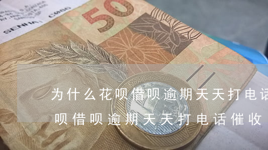 为什么花呗借呗逾期天天打电话-为什么花呗借呗逾期天天打电话催收