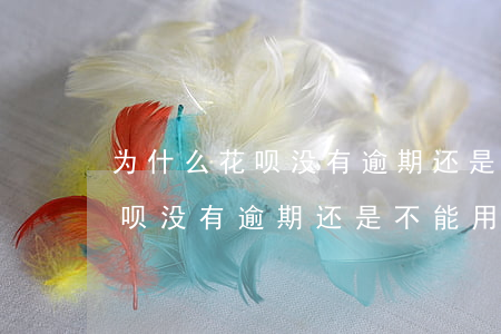 为什么花呗没有逾期还是不能用-为什么花呗没有逾期还是不能用怎么办