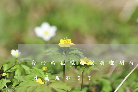 为什么花呗都没有逾期(为什么花呗没有逾期,可是用不了了)