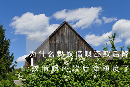 为什么蚂蚁借呗还款后降额度了-为什么蚂蚁借呗还款后降额度了呢