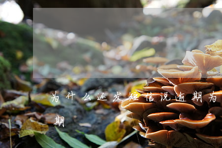 为什么还发短信说逾期(为什么有短信说我逾期)