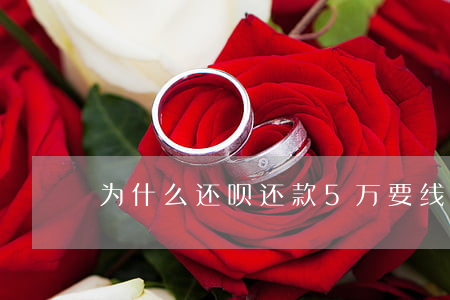 为什么还呗还款5万要线下还款-