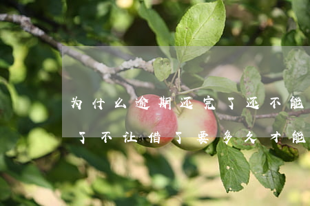 为什么逾期还完了还不能用借呗(逾期了还完了 不让借了要多久才能借)