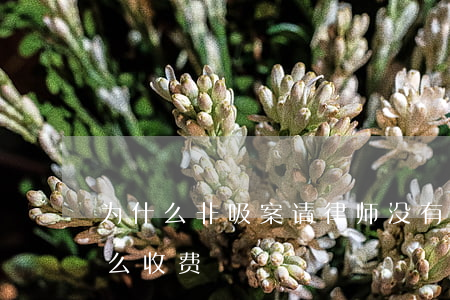 为什么非吸案请律师没有用(非吸案件律师怎么收费)