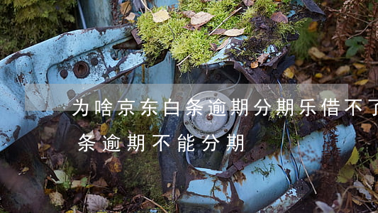 为啥京东白条逾期分期乐借不了了-京东白条逾期不能分期