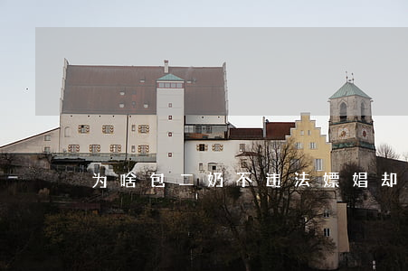 为啥“包二奶”不违法，嫖娼却违法？