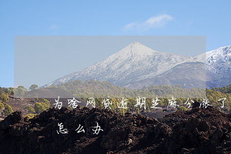为啥网贷逾期芝麻分涨了(网贷影响了芝麻分怎么办)