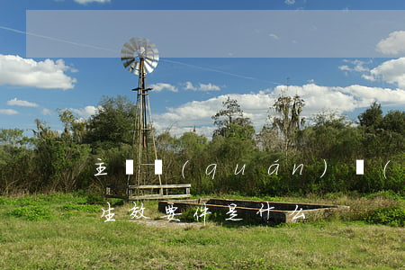 主債權(quán)轉(zhuǎn)讓的生效要件是什么