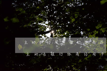 主动和信用卡银行协商还款的事情可以吗-主动去银行协商信用卡还款