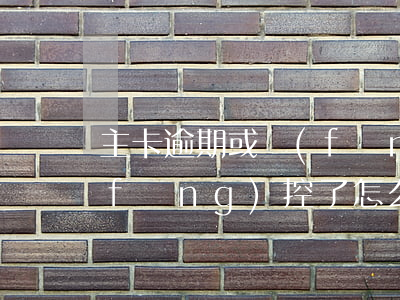 主卡逾期或風(fēng)控(信用卡被風(fēng)控了怎么處理)