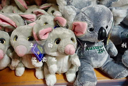 主張拆遷補(bǔ)償利益有時(shí)效要求嗎