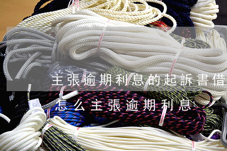 主張逾期利息的起訴書(借條未約定利息起訴怎么主張逾期利息)