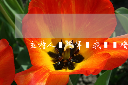 主持人離婚年齡(我們離婚了主持人是夫妻嗎)