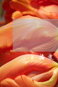 主播爱娅离婚了么(主播爱娅离婚了么)
